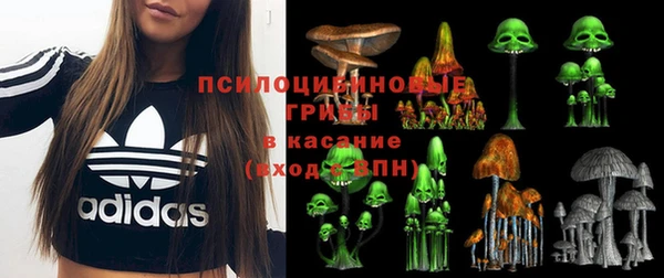 дмт Балабаново