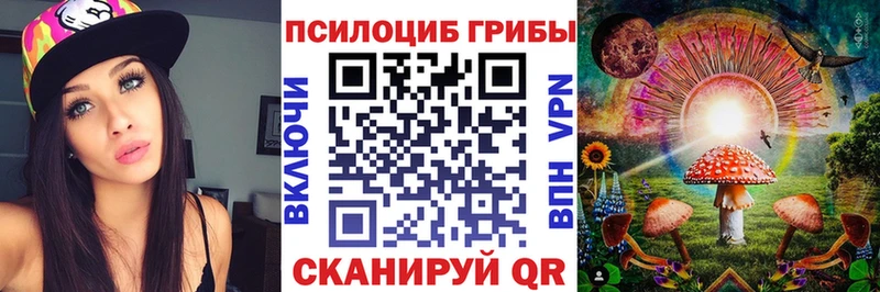 ссылка на мегу ТОР  Вязьма  Галлюциногенные грибы MAGIC MUSHROOMS 
